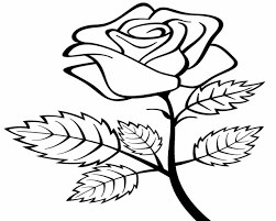 Gambar sketsa kupu kupu hinggap di bunga mawar : Gambar Kolase Bunga Dan Kupu Kupu