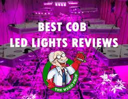 Whether you're an experienced plant parent or a gardening newbie. Best Cob Led Lights For Cannabis Reviews And Buyer S Guide