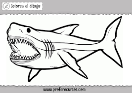 Maybe you would like to learn more about one of these? Dibujo Tiburon Para Colorear Novocom Top