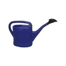 We did not find results for: Tdi Brands Gardening Tools Blue Large Blue Kids Watering Can On Zulily Accuweather Shop