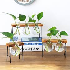 Get it as soon as wed, jul 14. Inherited 3 Pcs Wall Hanging Plants Glass Vases Test Tube Flower Vases Wall Hydroponic Plants Decor For Living Room Bathroom Bedroom Kitchen Wrought Iron Clear Glass Home Accessories Home Kitchen Umoonproductions Com