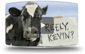 Pin On Cow Commercials