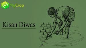 The day is observed to mark the birthday of chaudhary. Mycrop On Twitter Our Sincere Thanks To All The Farmers Who Work Hard To Feed The Entire Country Throughout The Year We All Should Care And Show Respect For Farmers Kisandiwas Mycrop