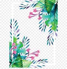 Summer Plant Watercolor Hand Painted Vector Border Watercolor Plants Watercolor Border Colourful Wallpaper Iphone