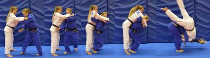 Ippon definition at dictionary.com, a free online dictionary with pronunciation, synonyms and translation. 2 Ippon Seoi Nage By A Right Handed Athlete Conducted Traditionally Download Scientific Diagram