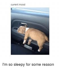 20 funny tired memes ranked in order of popularity and relevancy. 25 Best Memes About Current Mood Current Mood Memes