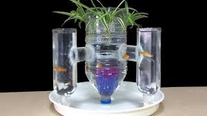 Tutorial cara membuat aquarium dari botol bekas bahan untuk membuat aquarium dari botol bekas : Televisi Hingga Teko 10 Barang Bekas Yang Bisa Dijadikan Akuarium Seni Botol Aquarium Ikan Akuarium