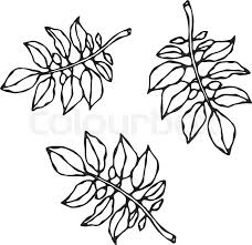 Maybe you would like to learn more about one of these? Leaves Of Solanaceous Plants Potato Stock Vector Colourbox