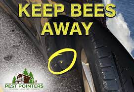 If you combine water and spearmint, thyme, and lemongrass essential oil, you can safely spray yourself, your children, and your pets to keep the wasps away. Don T Get Stung How To Keep Bees Away From Your Car For Good Pest Pointers Tips For At Home Pest Control