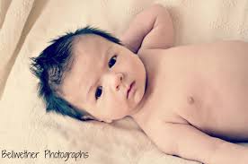 Bellwether Photographs