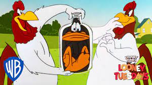 Take a look and see what others have said about foghorn leghorn. Looney Tuesdays Iconic Characters Foghorn Leghorn Looney Tunes Wb Kids Youtube