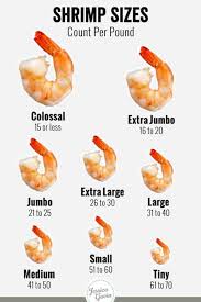 types and sizes of shrimp jessica gavin