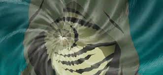 Obito Kamui Gif Posted By Ethan Thompson Itachi sharingan sasuke sharingan sharingan eyes mangekyou sharingan. obito kamui gif posted by ethan thompson