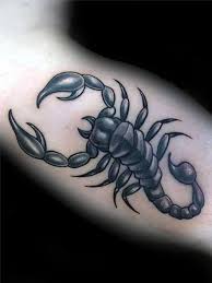 Not only that scorpion is popular in the movie as well for example 'the scorpion king' or 'bicchhoo'. Scorpio Zodiac Sign Tattoos For The Enigmatic Charm Of The Scorpions