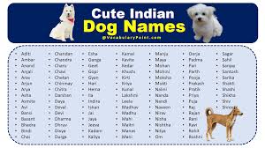 Image result for Pet Names