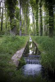 Walking Through The Forest Around Chateau De Fontainebleau Fontainebleau France Oc 4016 6016 Https Ift Nature Hikes Walking In Nature Travel Photography