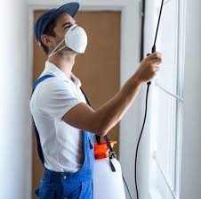 A wide variety of guard pest control options are available to you, such as none, >60 pieces, and 6 pieces. How To Prepare Your Home For A Pest Control Treatment In Melbourne All Guard Pest Control