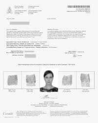Also learn where background check delays can occur and why canidate experience is paramount. Background Check Policies For Teaching In Korea Gone2korea