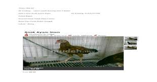 It is situated in the southwestern part of selangor. Harga Ayam Siam Docx Document