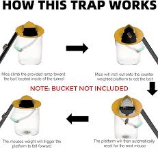 Once when i was a kid, my dad used a glue trap to catch a mouse in our basement. Buy Mouse Trap Bucket Flip And Slide Bucket Lid Mouse Rat Trap Auto Reset Multi Catch Mice Trap Humane Mousetrap No See Kill For Indoor Outdoor Compatible 5 Gallon Bucket Online