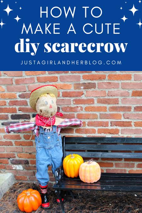 A Cute Little Scarecrow