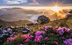 Mountain Sunrise Beautiful Landscape Wallpaper For Desktop In High Resolution Free Downl Beautiful Landscape Wallpaper Beautiful Landscapes Landscape Wallpaper