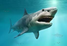 Find what to do today, this weekend, or in july. Tiburones Prehistoricos Los Amos Del Mar