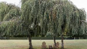Le nez en l'air, la mer au coeur, succombez à la tentation! Privatzimmer Les Jardins De Madeleine Bernardville Visit Alsace