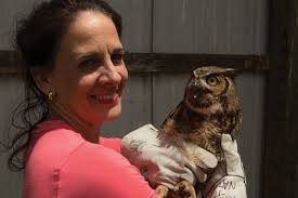 Going (Nat Geo) Wild for Animal Rehabbers