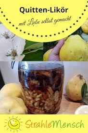 Quitten Likor Strahlemensch Quitten Likor Quitten Quittenlikor Rezept