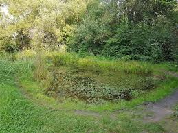 Do you want to know the entry ticket price for finkens garten? Finkens Garten Naturerlebnis In Koln Vita Oeconomica