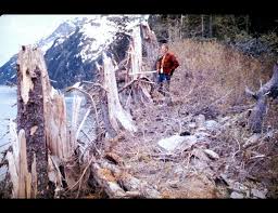 A video highlighting the impacts and effects of america's largest recorded earthquake. Tsunami Awareness A Priority Nearly 60 Years After Last Major Alaska Event Geophysical Institute