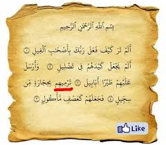 This is chapter 105 of the noble quran. Hikmah Mustika Surah Al Fiil Kaskus