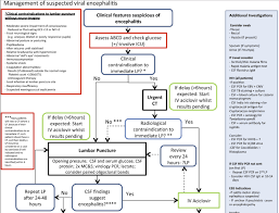 Tom Wade Md Medical Diagnosis And Medical Treatment Page 282
