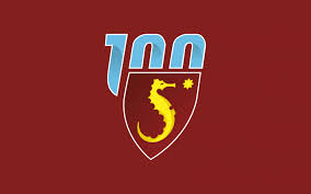 Salernitana is playing next match on 17 jan 2021 against empoli in serie b. Salernitana Unveiled A New Logo For Its Centenary