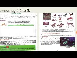Check spelling or type a new query. Class 5 Science Lesson 1 Classification Of Living Things Youtube