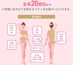 全身脱毛がこんなにオトク 医療脱毛専門のリゼクリニック 脱毛 医療 形成外科