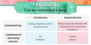 Hepatitis b virus (hbv) and hepatitis c virus (hcv) infections in health care workers (hcws) lamivudine in late pregnancy to prevent perinatal transmission of hepatitis b virus infection: Hepatitis Delta Coinfection Vs Superinfection Hepatitis B Foundation