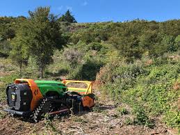 This is the newest place to search, delivering top results from across the web. Land Clear We Clear Farms Lifestyle Blocks Sections And Anything Else You Can Think Of