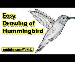 Maybe you would like to learn more about one of these? How To Draw Hummingbird Instructables