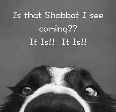 Pin On Shabbat