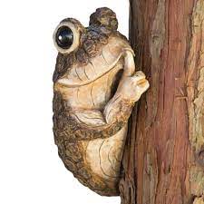 Once it detects this motion, the circuit will trigger an alarm buzzer to sound which will remain on until the power is disconnected from the circuit. Bits And Pieces Keep Quiet Frog Tree Peeker Durable Polyresin Animal Tree Hugger Sculpture Lawn And Garden Outdoor Decor Statue Walmart Com Walmart Com