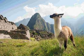 Image result for machu picchu