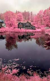 Dizinde Dermanin Bittigi Vakitte Gonlunde Yeseren Yarindir Sabir Yiki Paisaje De Fantasia Hermosos Paisajes Paisaje Rosa