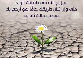 خواطر صباحية دينية arabic quotes plants