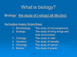 Unit 1 The Nature Of Biology Ppt Video Online Download