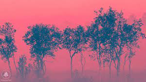 Best Hd Wallpapers Whatsapp Images Hd Wallpaper Wallpaper Whatsapp Images Hd