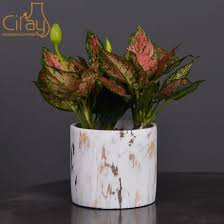 Have oversized plants in your backyard? China Indoor Outdoor Golden Color Cement Plant Pot China Pot And Cement Pot Price