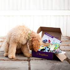 Check spelling or type a new query. The Best Dog Subscription Boxes In Canada 2021 Pawzy