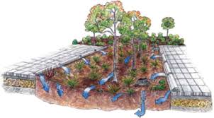 It is designed to temporarily hold and soak in rain water runoff that flows from roofs, driveways, patios or lawns. Rain Garden Center For Urban Waters